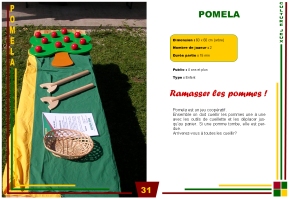 p31-Pomela